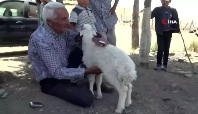 70'lik atlet doğal beslenerek gençlere taş çıkarıyor