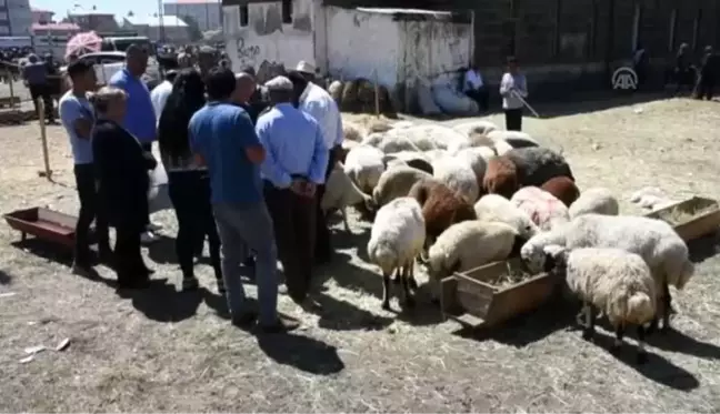 Doğu'da hayvan pazarlarında arife yoğunluğu