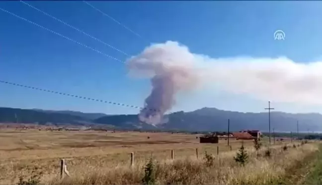 Başmakçı'da orman yangını