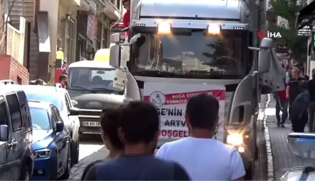 Ege'nin şampiyon boğaları Artvin'de yoğun ilgiyle karşılandı