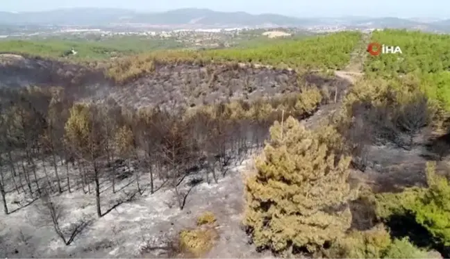 Bodrum'da orman yangını sonrası kömür karasına dönen alanlar havadan görüntülendi