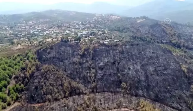 Muğla'da yanan ormanlık alan havadan görüntülendi