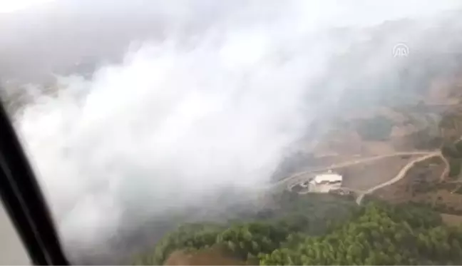 Antakya'da orman yangını