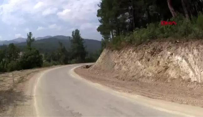 BALIKESİR Bigadiç'te yol kenarında çok sayıda kemik ortaya çıktı