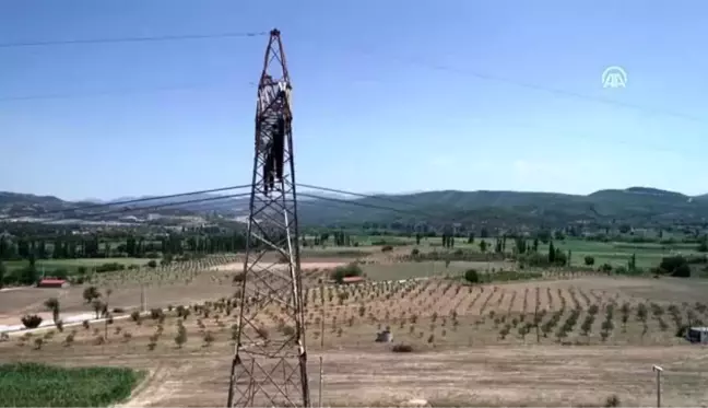 Elektrik hatlarına 