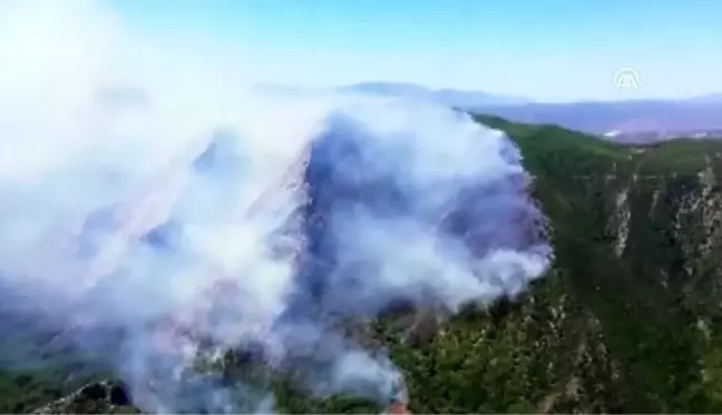 Muğla'da orman yangını (5)