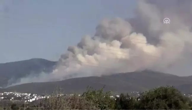 Muğla'daki orman yangınları devam ediyor