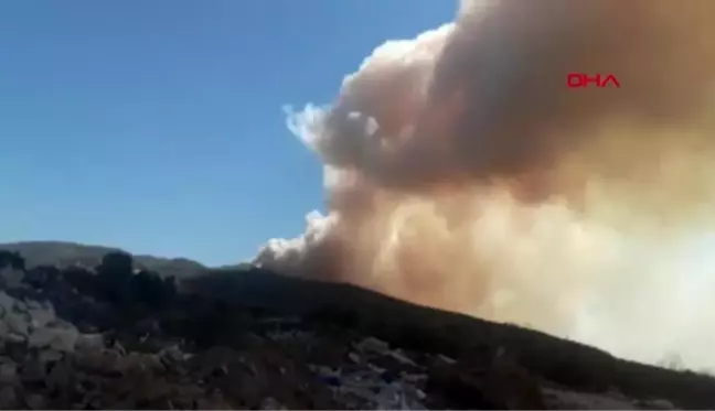 MUĞLA Milas'ta orman yangını çıktı