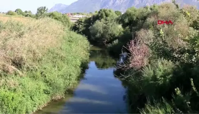 Gediz'i kirleten 2 işletmeye ceza yağdı - TAMAMI