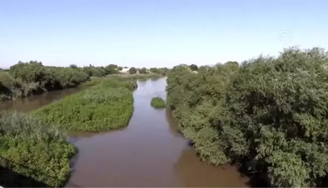 Gediz Nehri'ndeki kirlilik