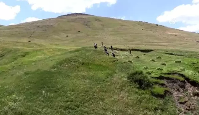 Hayvanları için imece usulüyle dağlardaki otları biçiyorlar - AĞRI