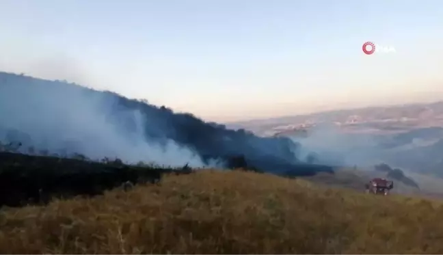 İzmir Aliağa'da çıkan yangın korkuttu