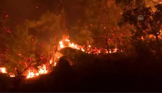 İzmir'deki orman yangını