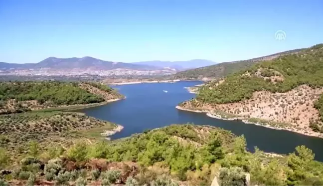 Muğla'daki orman yangını kontrol altına alındı