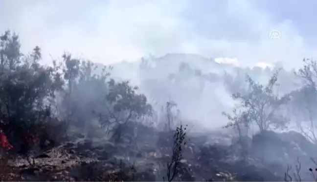 Fethiye'de orman yangını