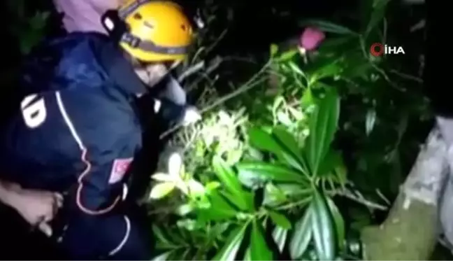 Dünyanın en yaşlı porsuk ağacını görmek için gittikleri dağlık alanda kayboldular