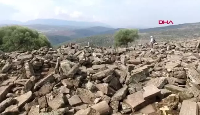 MANİSA AİGAİ'DE 1900 YILLIK HAYVAN KEMİKLERİ BULUNDU