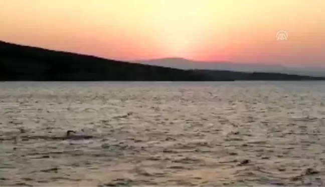Şiddet gören kadınlar için kulaç attılar