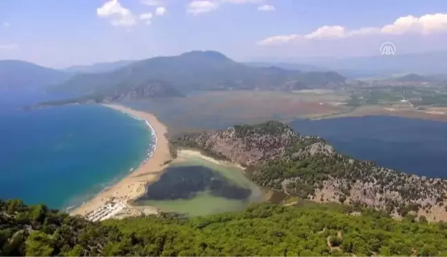 Caretta caretta plajının işletmesi belediyeye emanet