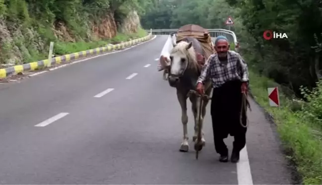 60 yıldır at üstünde elma satıyor