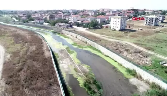 Kırklareli'de deredeki balık ölümlerine inceleme