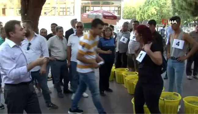 Alaşehir 2. Üzüm Festivali'nde eğlenceli görüntüler