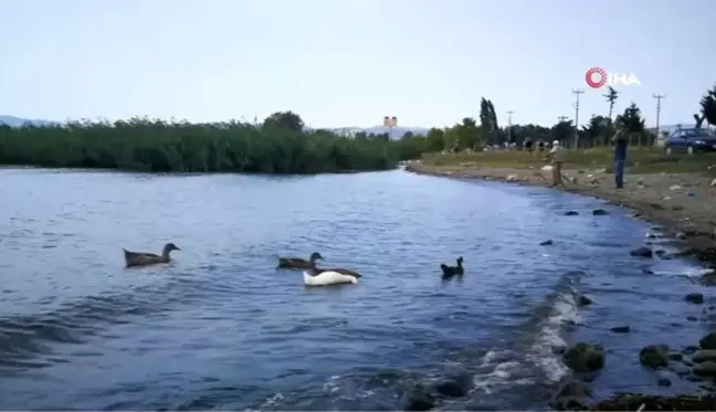 Geceleri kirli su gelen dere gündüz temiz akıyor