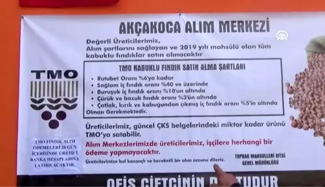 Fındık üreticileri TMO'dan memnun