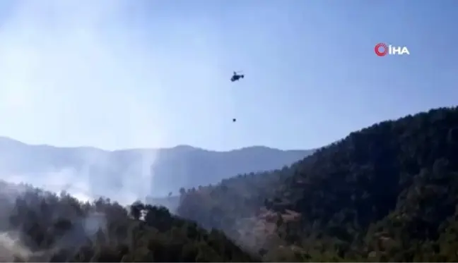 Hatay'da çıkan orman yangını kontrol altına alındı