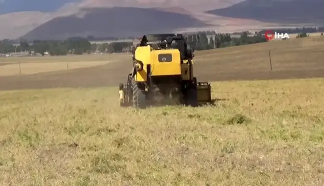 Bakliyat üreticisinin yüzü gülüyor