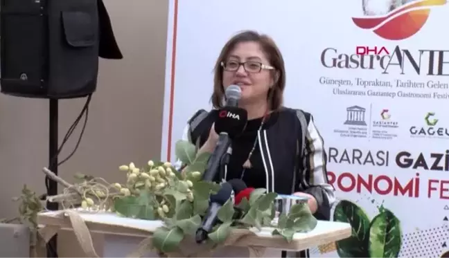 Gaziantep gastroantep festivali kapsamında fıstık hasadı yapıldı