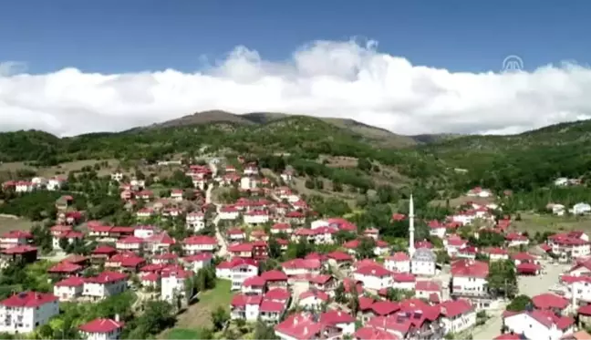 Karadeniz'in doğasını ve mimarisini koruyan mahalle: Yeşilce