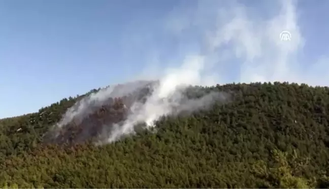 Bodrum'da orman yangını (2)