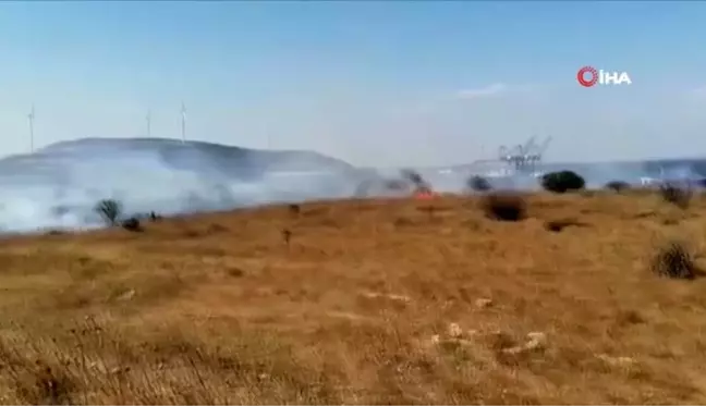 Aliağa'da yangın: 20 dönüm alan zarar gördü