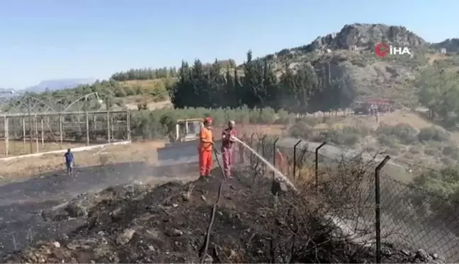 Arap Beleni'nde çıkan anız yangını ormana ulaşmadan söndürüldü