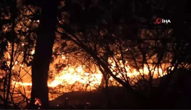 Hatay'da 25 farklı noktada orman yangını...Alevler Hatay semalarını aydınlattı