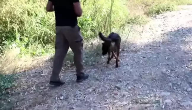 Kayıp kişinin baraj gölünde cesedi bulundu