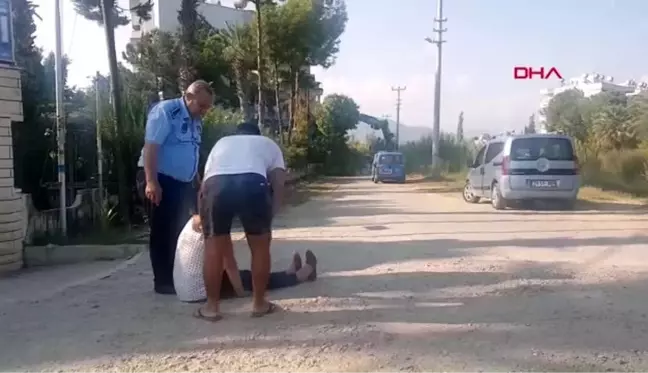 Mersin ağaçların aşırı budanmasına tepki