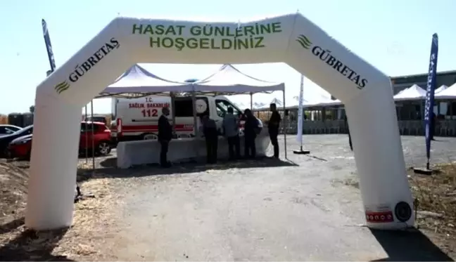 Hasat Günü etkinliği