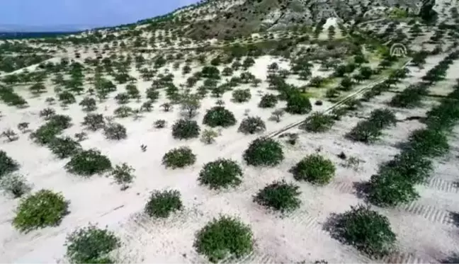 Gaziantep'ten Çin'e 