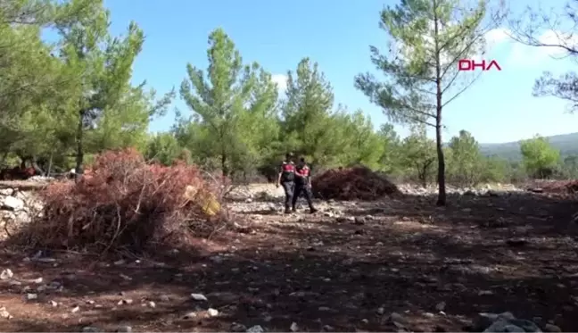 Muğla mantar toplamak için gittiği ormanda kaybolan adamın cesedi bulundu