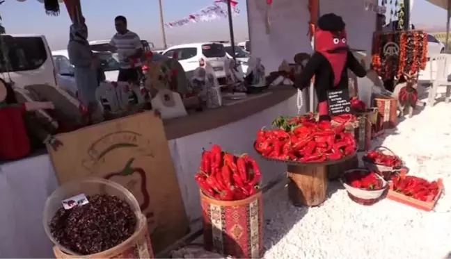 3. Şanlıurfa Lezzetleri ve İsot Festivali