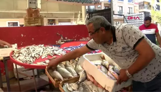 İzmir pazaryerlerindeki balık tezgahları için 'sağlıksız' uyarısı