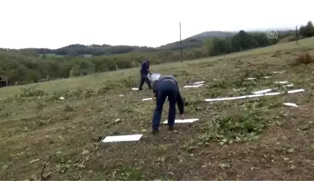 Hortum ev ve ağaçlara zarar verdi