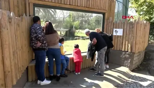 Kocaeli hayvanat bahçesinde kış hazırlıkları başladı