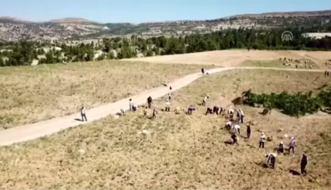 Boş araziye ekilen nohutun geliri öğrencilere 