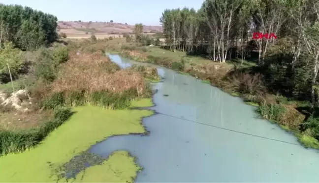 Kırklareli-teke deresi'nde kirlilik; beyaz ve gri renkte akıyor-1