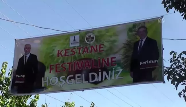 Beydağ'da kestane festivali - İZMİR