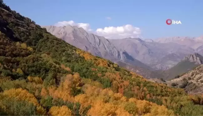 Tunceli'de sonbaharla gelen 