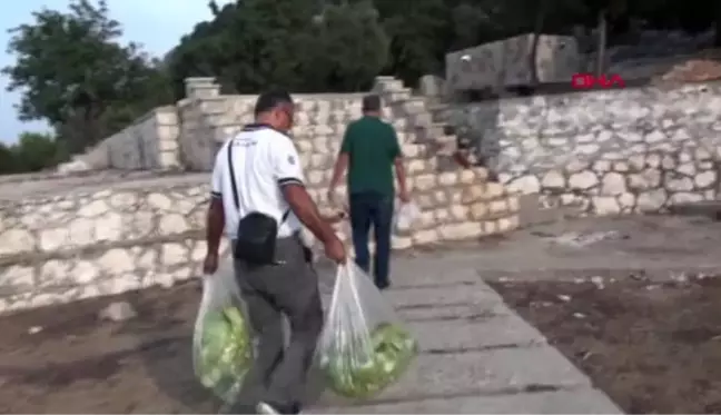 Antalya aşırlı adası'nın doğal zenginliği dağ keçileri